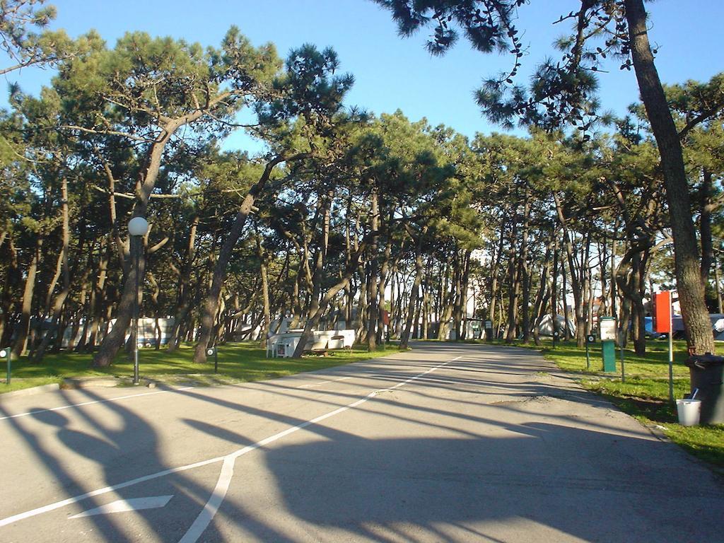 Parque De Campismo Da Praia Da Barra Gafanha da Nazaré エクステリア 写真